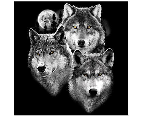 Wolf Pack 3 Wolves Graphic T-Shirt - Personalization Plaza