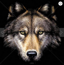 Load image into Gallery viewer, Wolf Theme Graphic Hoodies