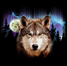 Load image into Gallery viewer, Wolf Theme Graphic Hoodies