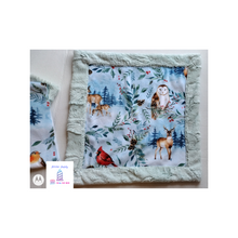 Load image into Gallery viewer, Shannon Fabrics Luxe Cuddle Hide Ice Fabric
